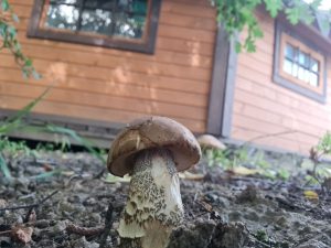 Гриль-домик в Лиде